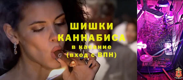 гашик Алзамай