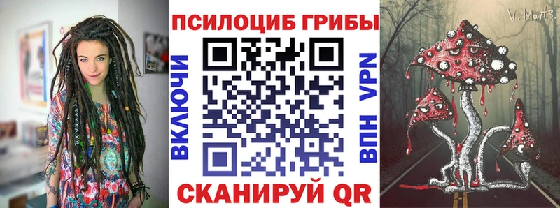 Псилоцибиновые грибы Psilocybe МЕГА ссылка Тихвин