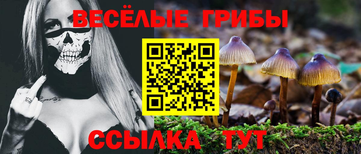 Галлюциногенные грибы мухоморы Тихвин