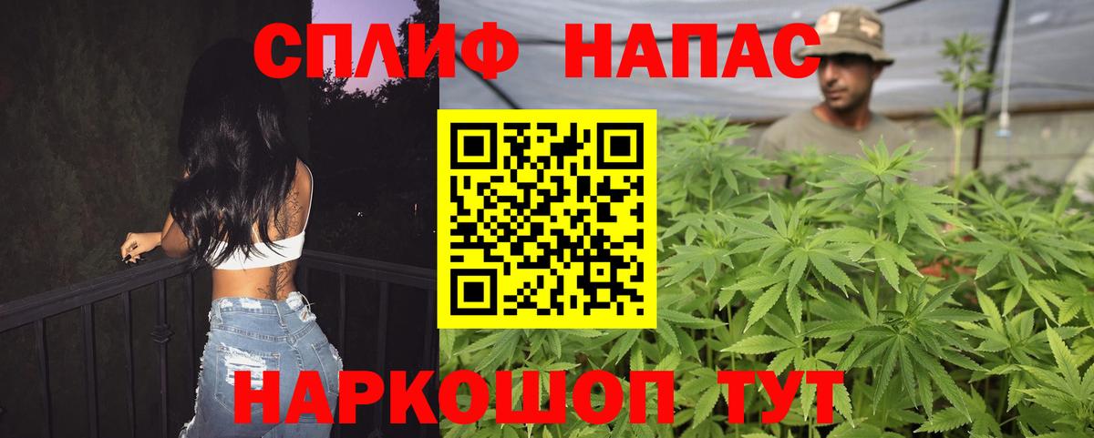 Конопля Amnesia  Марихуана гибрид  Тихвин  Марихуана THC 21%  Вход с VPN 